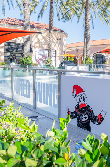 Anaheim Ducks sponsorship of Ice Rink at Irvine Spectrum Center
