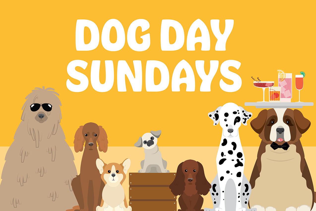 Dog-Days-Event-Listing-1275×850-1-95.jpg