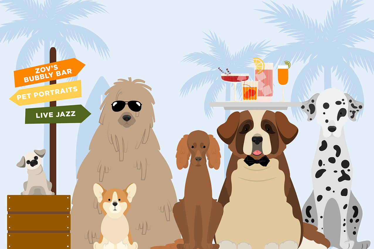 NCC-Dog-Day-Sundays_Web-1275×850.jpg